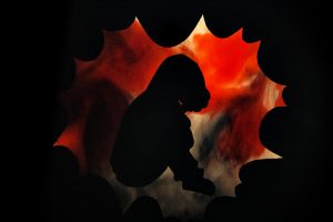 @delaurenti_photography